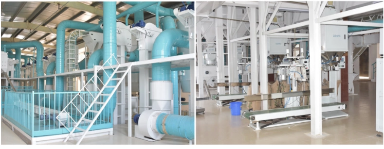 Rice-Processing-Plant