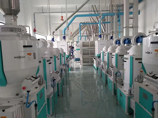 white-rice-polishing-machine