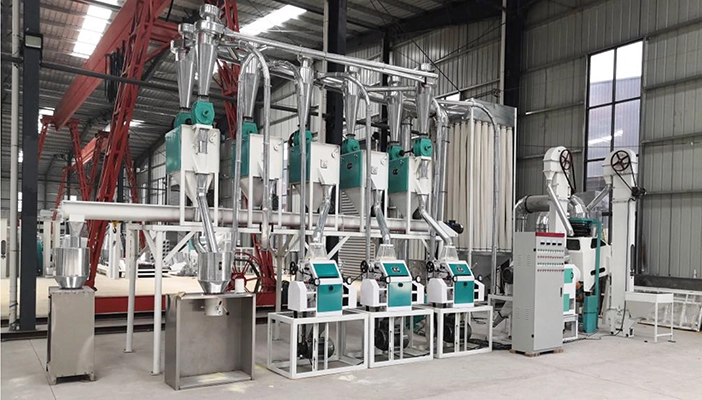 double-roll-white-rice-polishing-machine