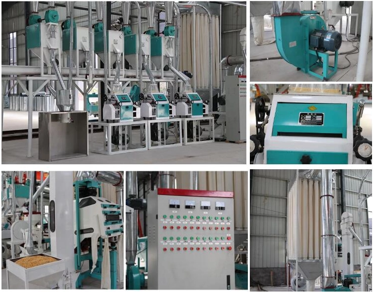 Maize-Flour/Grits-Making-Plant