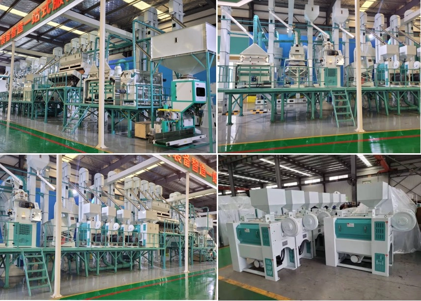 Rice-Processing-Plant