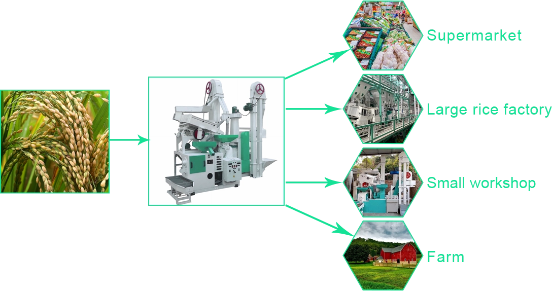 20-30TPD-Small-Rice-Milling-Plant