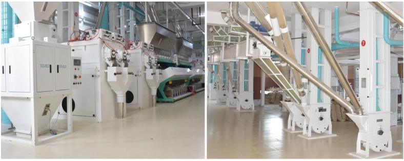 Rice-Processing-Plant