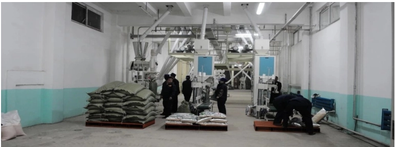 Computer-Measuring-Packing-Machine