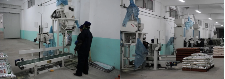 Computer-Measuring-Packing-Machine