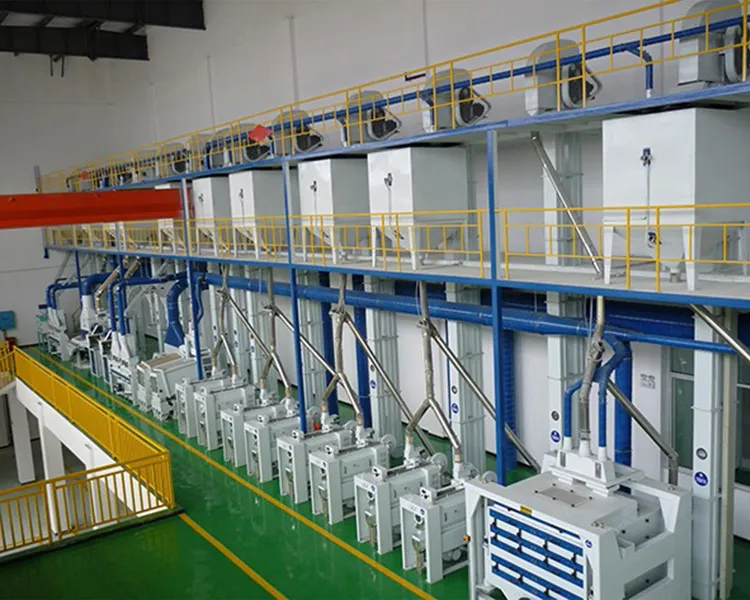 200-300TPD Rice Milling Plant