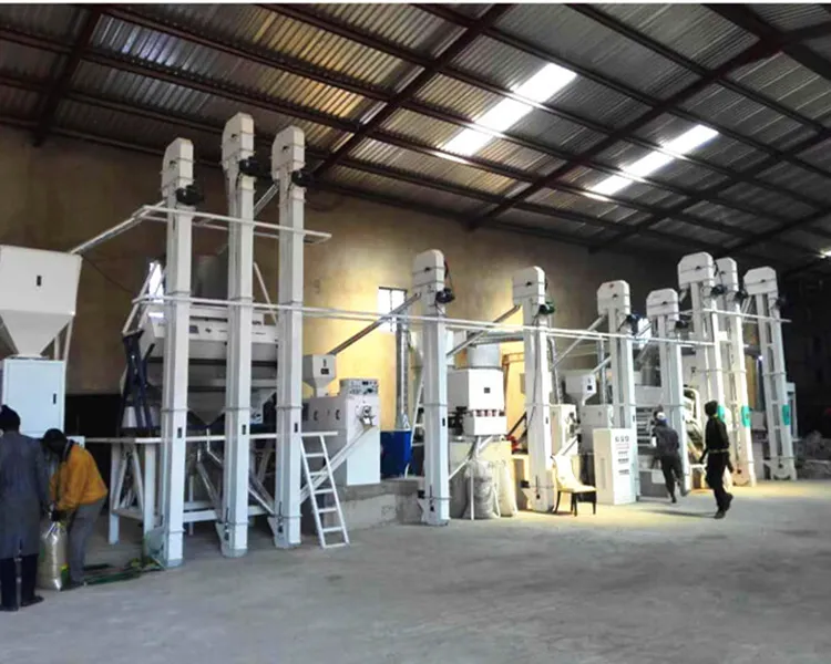 Rice Processing Plant prices