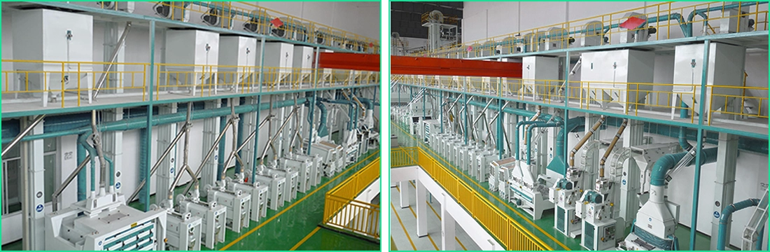 500TPD-Rice-Milling-Plant