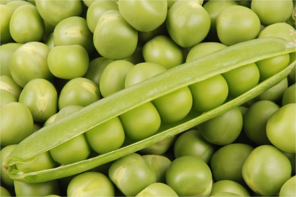 pea
